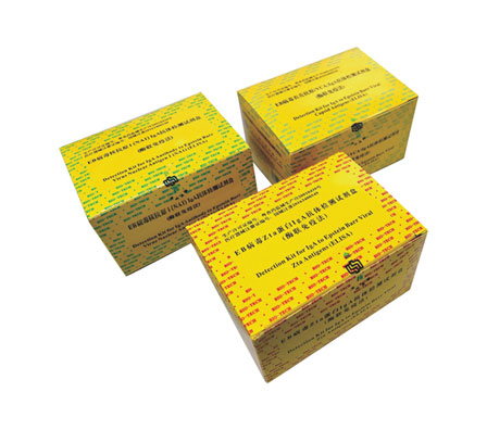 首页| 918博天堂集团中国官方网站