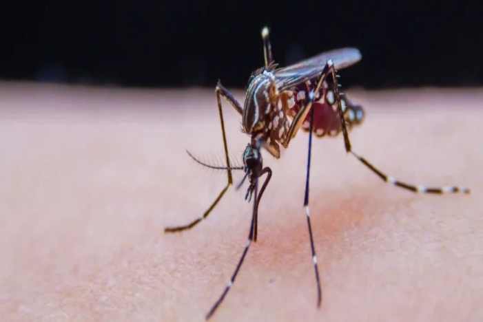 首页| 918博天堂集团中国官方网站